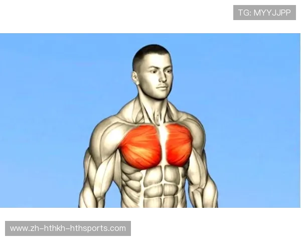 龙门架多功能组合胸肌训练方法详解